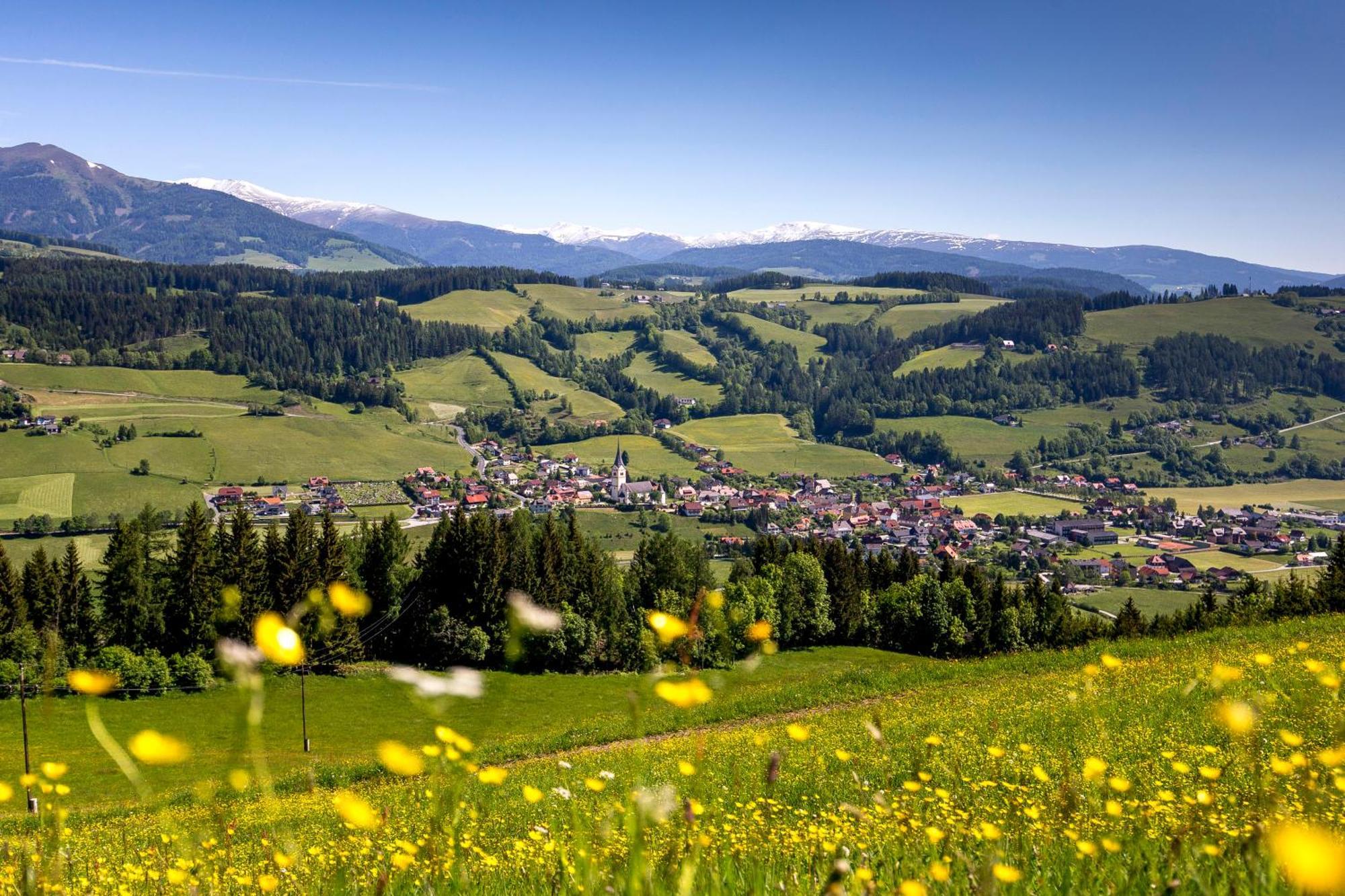 Naturpark Chalets Lambrecht By Alps Resorts Sankt Lambrecht Zewnętrze zdjęcie